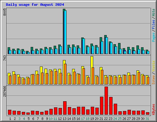 Daily usage for August 2024