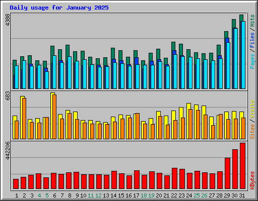 Daily usage for January 2025