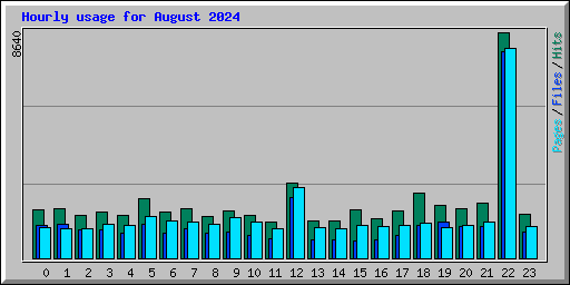 Hourly usage for August 2024