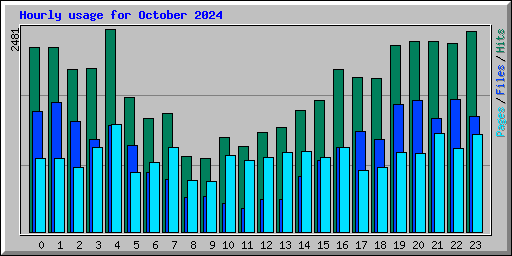 Hourly usage for October 2024