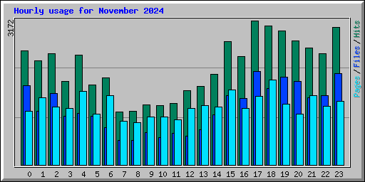 Hourly usage for November 2024