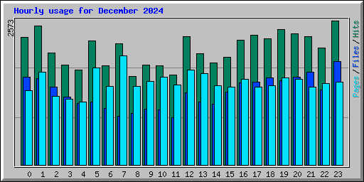 Hourly usage for December 2024
