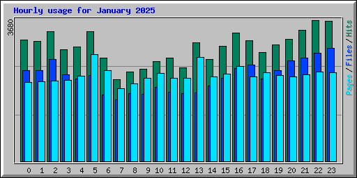 Hourly usage for January 2025