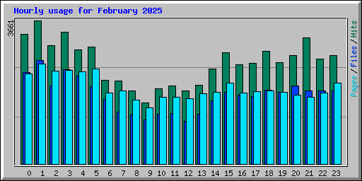 Hourly usage for February 2025