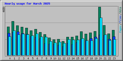 Hourly usage for March 2025