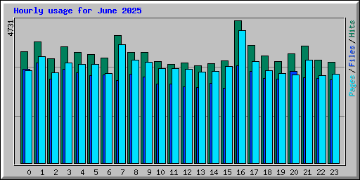 Hourly usage for June 2025