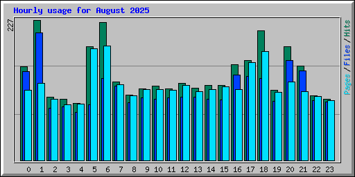 Hourly usage for August 2025