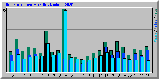 Hourly usage for September 2025