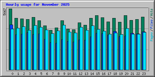 Hourly usage for November 2025